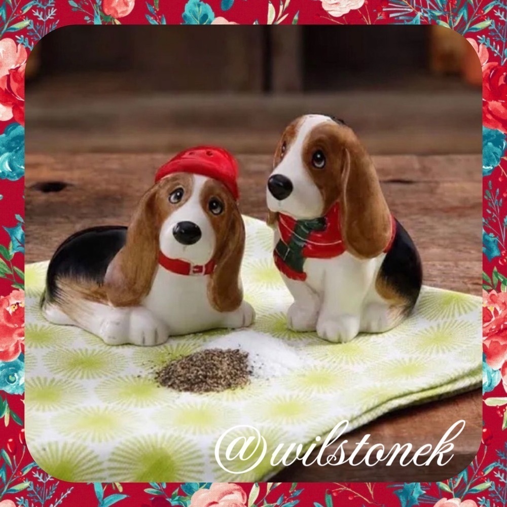 ❤️Rare- The pioneer woman Santa Charlie Hound Dog Salt and Pepper Shakers
